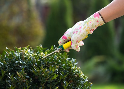 Landscapers preparing a safe outdoor worksite with equipment and waste bags