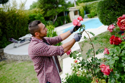 A man with short dark hair, wearing a red and white checked shirt and black gardening gloves, is pruning bright pink roses in a well-maintained backyard garden. The garden features a lush green lawn, with a curved stone pathway leading to a modern backyard swimming pool surrounded by dense, neatly trimmed hedges and tall trees providing shade. In the background, a white garden bench is visible on the patio area, and the pool water appears clear and inviting. The scene is set on a bright, sunny day, with natural light illuminating the variety of green foliage and vibrant flower colours. The landscaping includes flower beds bordering the lawn and a mix of mature shrubs and small trees, creating a peaceful outdoor space typical of a landscaped residential garden in Queens Park, London. This image reflects professional garden maintenance and outdoor landscaping services by Landscapers Queens Park, focusing on garden pruning, hedge trimming, and flower care in a private outdoor environment.