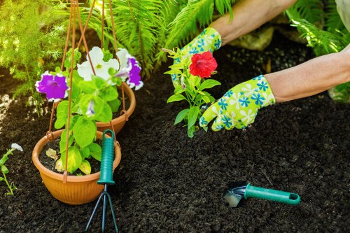 A gardener wearing floral-patterned gardening gloves is planting a red flowering plant into dark, rich soil within a landscaped garden space. The garden features a variety of lush green plants including ferns and other leafy foliage in the background. Two hanging terracotta pots contain flowering plants with purple and white blooms, suspended from a wooden structure. Gardening tools such as a small hand rake and pruning shears rest on the soil, indicating ongoing planting activity. The environment appears to be a well-maintained front or backyard garden in Queens Park, with natural sunlight illuminating the scene, highlighting the vibrant colors of the plants and the fresh soil. This outdoor space showcases a thoughtfully arranged garden layout, combining potted plants and cultivated planting beds, typical of professional gardening and landscaping services provided by Landscapers Queens Park.