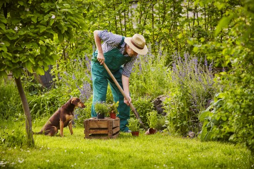 A person wearing a straw hat, patterned shirt, and teal overalls is gardening in a lush, green back garden, using a long-handled tool to tend to plants in a flower bed bordered by small stones. The garden features a well-maintained grassy lawn, various flowering plants, and shrubs, with tall trees and dense foliage providing a natural backdrop. A brown dog is sitting attentively nearby on the grass, watching the gardener at work. The scene is outdoors on a sunny day, with natural light illuminating the vibrant green tones of the foliage, purple flowering plants, and the warm wooden texture of the raised flower bed. The environment emphasizes a well-kept outdoor space suitable for gardening services, landscape maintenance, and environmentally sustainable practices, aligning with themes of recycling and sustainability for a garden in Queens Park, London.