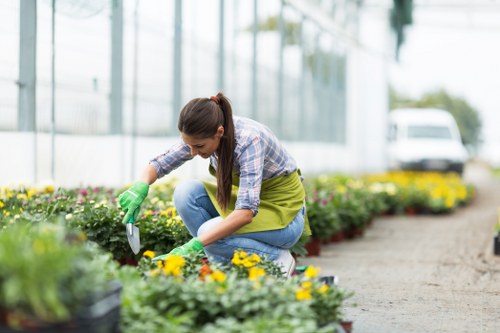 A woman wearing green gardening gloves and a plaid shirt is crouched down in a garden, tending to a row of vibrant yellow and purple flowering plants. She appears focused as she uses a small hand tool to carefully work on the plants, which are bordered by neat flower beds with dark soil. The garden is situated outdoors, with a paved pathway running alongside the flower beds. In the background, there is a modern glass greenhouse structure and a white van, suggesting a well-maintained community or commercial garden space. The overall scene displays a tidy, organized outdoor environment, with lush greenery and colorful blooms, reflecting professional landscaping and gardening maintenance typical of a property in the Queens Park area. The natural light and mild weather conditions highlight the healthy appearance of the plants and the gardener’s ongoing work to promote a thriving garden setting, supporting expert gardening services by Landscapers Queens Park.