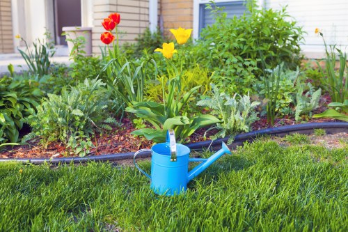 Professional landscaper enhancing curb appeal of a home in Queens Park