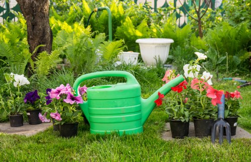 A lush garden scene featuring a well-maintained lawn with vibrant green grass, bordered by various potted flowering plants including petunias in shades of purple, pink, and white. In the background, a mature tree with a textured trunk provides shade, and dense foliage includes ferns and leafy shrubs. A collection of garden tools and accessories, such as a bright green plastic watering can and a small hand rake, are positioned on the grass in the foreground, indicative of ongoing gardening activities. The garden space appears to be part of a landscaped outdoor area in Queens Park, with natural sunlight illuminating the scene, emphasizing the variety of plant textures and colors, and creating a lively, inviting atmosphere for outdoor gardening and maintenance activities. This detailed visual highlights elements typical of professional lawn care and gardening services offered by companies like Landscapers Queens Park, with a focus on garden organization, plant diversity, and outdoor environmental management.