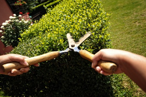The image depicts two hands using gardening shears to trim a dense, well-maintained hedge in a garden, with both garden tools clearly visible and the hedge exhibiting vibrant green foliage. The garden features a lush, uniform grass lawn in the background, along with a flower bed containing blooming roses and other plants, suggesting a well-kept outdoor space typical of residential gardens in Queens Park. The scene is illuminated by natural daylight, with weather conditions appearing sunny and clear, highlighting the healthy greenery and contrasting textures of the hedge and lawn. The hedge's height and shape indicate regular maintenance, and the garden setting aligns with professional gardening and landscaping services offered by Landscapers Queens Park, serving the local area around postcode NW6. This detailed observation supports garden renovation ideas and outdoor care expertise relevant to clients seeking quality garden improvements in the Queens Park region.
