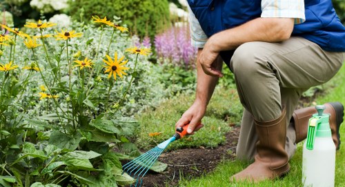 A gardener kneeling on a lush, well-maintained front lawn in Queens Park, London, watering vibrant yellow and purple flowering plants with a small handheld spray. The garden features a neatly edged flower bed with rich, dark soil, bordered by a variety of healthy, green shrubs and a backdrop of taller trees providing shade. The lawn appears dense and evenly cut, contrasting with the textured soil of the flower bed. The gardener, dressed in a blue vest, beige trousers, and brown rubber boots, is positioned on the right side of the image, with a green garden spray bottle placed on the grass nearby. Soft natural outdoor lighting, indicative of a clear day, highlights the vibrant colours of the flowers and greenery, creating a serene and inviting outdoor space typical of professional gardening and landscaping services in the area, such as those offered by Landscapers Queens Park. The scene captures the essence of garden maintenance and outdoor care in a suburban environment, emphasizing lush plant health and tidy landscaping craft.