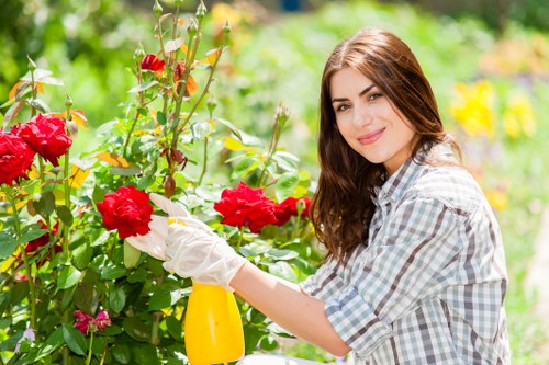 Professional lawn care service in Queens Park