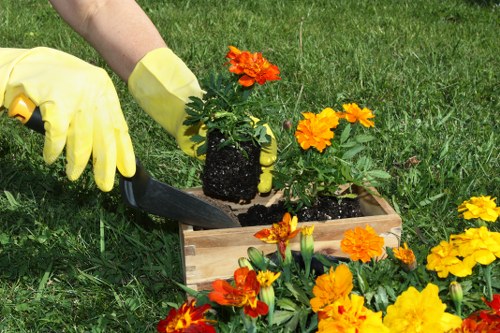 Selection of native plants ideal for landscaping in Queens Park