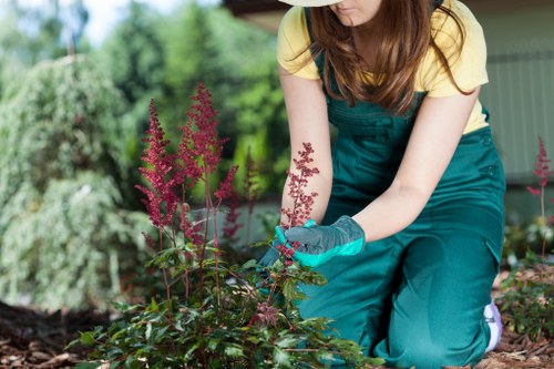A gardener wearing teal overalls, a yellow t-shirt, and gardening gloves is kneeling in a lush outdoor garden area, tending to a flower bed with pink flowering plants. The garden features a well-maintained lawn with dense, green grass, neatly edged flower beds, and a variety of shrubs and trees in the background, creating a vibrant natural setting. The scene is illuminated by natural daylight, with a blurred background indicating a sunny, warm day, and a shed or garden structure is partially visible. The gardener's careful attention to the plants reflects professional gardening and landscaping practices that are characteristic of local outdoor maintenance services provided by Landscapers Queens Park, focused on enhancing lawns, flower beds, and garden aesthetics in the area around Queens Park, London.