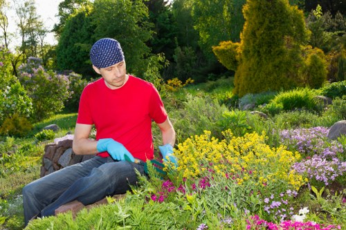 A gardener wearing a red T-shirt, blue gloves, and a blue patterned cap is sitting on a low stone wall in a lush garden, tending to a dense flower bed that includes yellow, purple, and pink flowering plants. Behind him, the garden features a variety of green shrubs, small trees, and flowering bushes, with a backdrop of tall, mature trees and vibrant foliage indicating a well-maintained outdoor space typical of a landscaped garden in the Queens Park area. The scene is illuminated by natural daylight, suggesting a bright, clear day, with well-kept lawns and borders that reflect professional gardening maintenance by Landscapers Queens Park. The garden layout includes a mix of flowering beds, neatly edged borders, and a variety of textures and colours within the plants, contributing to a visually appealing and tranquil outdoor environment, suitable for outdoor leisure and gardening services in the local area.