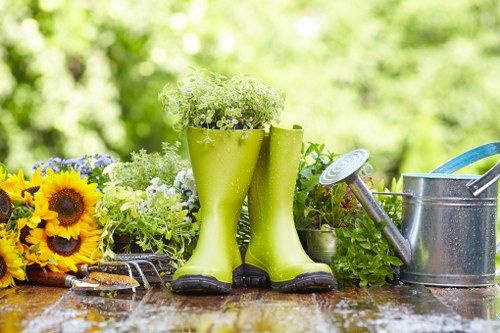 Proper mowing techniques for a healthy lawn