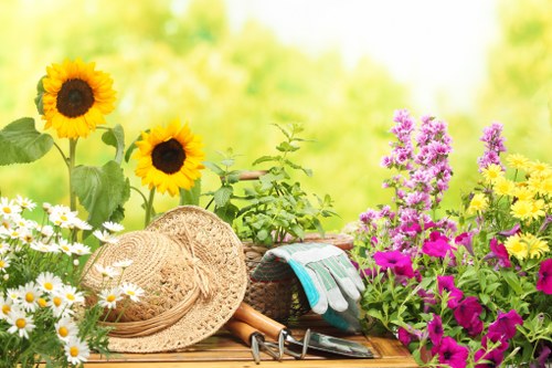 A vibrant garden scene featuring a variety of blooming flowers, including tall sunflowers with large yellow petals and dark centers, alongside clusters of purple and pink flowering plants. The garden display is set on a wooden surface that also holds gardening tools such as a straw hat, gardening gloves, and small hand tools. The surrounding environment suggests a well-maintained outdoor space with natural sunlight illuminating the lush greenery and bright blooms, typical of a landscaped garden in Queens Park. The background shows a softly blurred green backdrop which hints at a lawn or grassy area, emphasizing an inviting and well-cared-for outdoor setting suitable for gardening and landscaping services by Landscapers Queens Park.