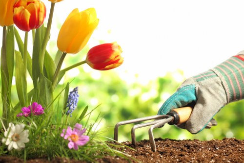 A gardener's hand, wearing a grey glove with teal accents, uses a small hand cultivator to loosen dark, rich soil in a garden bed. To the left, there are vibrant tulips in red, yellow, and orange blooming alongside clusters of pink, white, and purple flowers, with lush green leaves and stems. The background features a blurred garden scene with bright natural daylight, indicating a clear outdoor environment. The garden area appears well-maintained, with a mix of flowering plants and healthy foliage, representative of professional gardening services in Queen's Park or the surrounding London area. The scene emphasizes diligent soil preparation suitable for planting or landscaping work, reflecting attention to detail characteristic of landscapers like Landscapers Queens Park.
