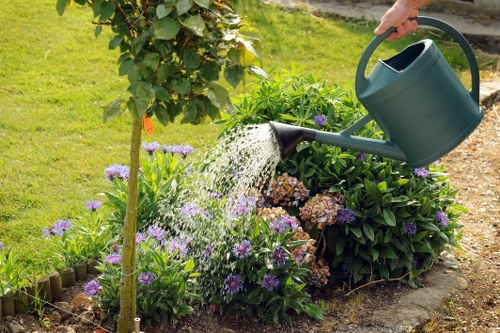 In a well-maintained garden, a person is watering vibrant purple and pink flowering plants with a green plastic watering can. The garden features a neatly edged flower bed with lush green foliage and blooming flowers, bordered by wooden edging. Behind the flower bed, there are small shrubs and a taller hedge, creating a layered landscape. The foreground includes a healthy, dense lawn of green grass, while in the background, a small tree or large shrub provides additional greenery. The scene appears to be outdoors in natural daylight, with pleasant weather and soft sunlight illuminating the garden area. This setting showcases typical elements of residential gardening in Queens Park, with a focus on nurturing flower beds and lawn upkeep, aligned with professional gardening services offered by Landscapers Queens Park.