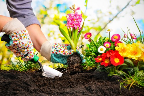 Sustainable landscaping practices by Queens Park landscapers