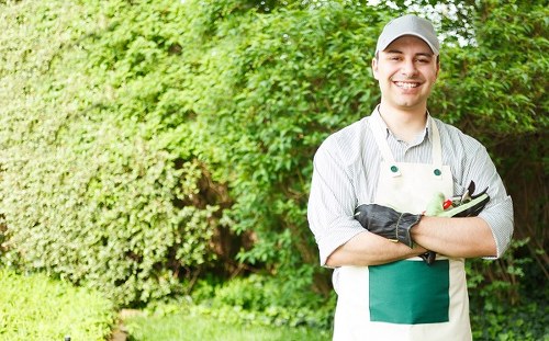 Seasonal lawn care in Queens Park