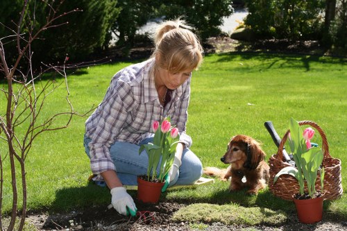 Sustainable landscaping practices with rainwater harvesting in Queens Park