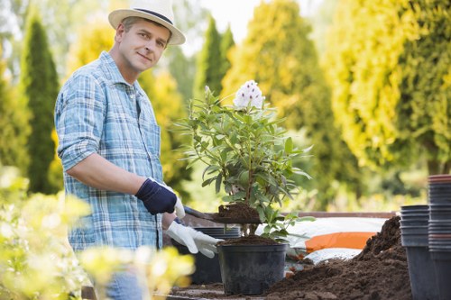A man wearing a straw hat, light blue checkered shirt, and gardening gloves is working in a garden, planting or potting a small flowering shrub in a black plastic container. The background features lush green trees with sunlight filtering through, creating a bright outdoor scene. The garden area has a wooden table or work surface with garden tools and additional pots, and the soil around the plant appears freshly turned. The scene suggests a gardening activity focused on plant care or landscape maintenance, typical of gardening services in Queens Park, with natural, vibrant colors and a well-maintained outdoor environment.