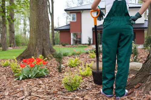 Different types of lawn mowers available