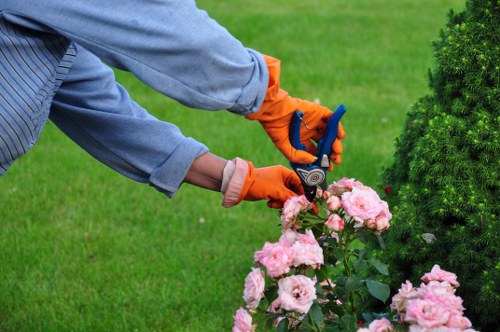 Professional landscapers planning a garden layout in Queens Park